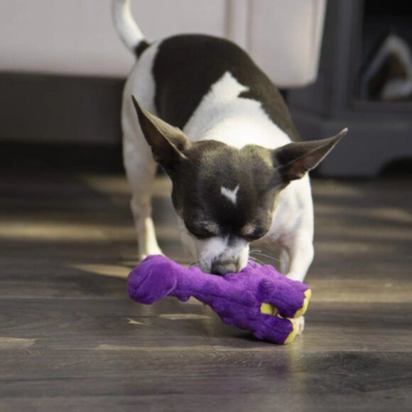 goDog Just For Me Dinos Bruto Squeaky Plush Dog Toy, Chew Guard Technology - Picture 2 of 5